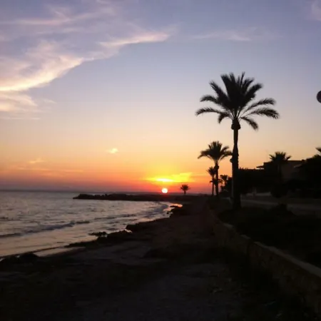 Splendide F4 Alicante