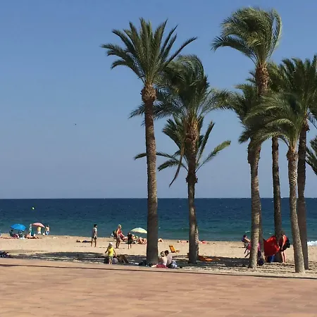 Splendide F4 Alicante